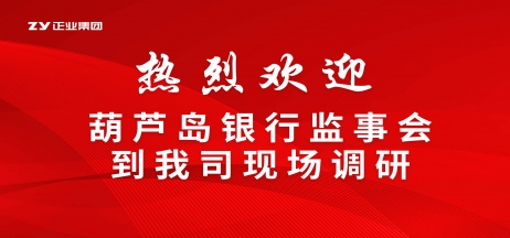 【聚焦產業(yè)升級】葫蘆島銀行監(jiān)事會赴正業(yè)集團專項調研