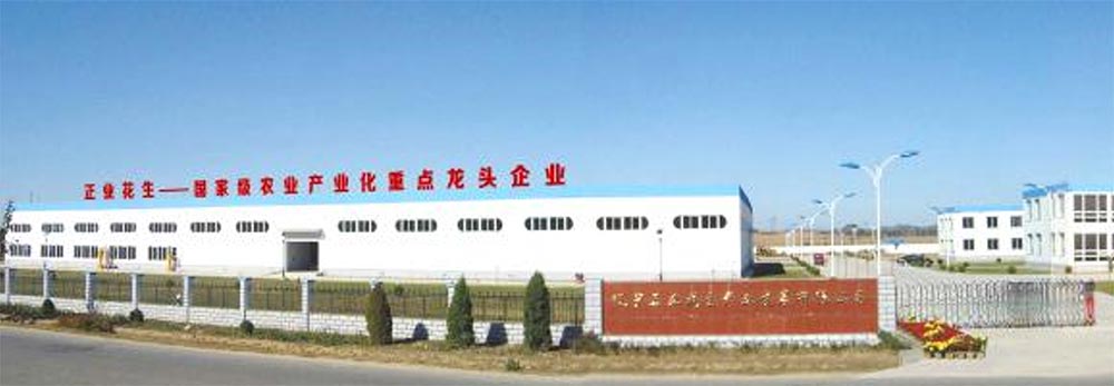 遼寧正業(yè)花生產(chǎn)業(yè)：共抗疫情，龍頭企業(yè)顯擔(dān)當(dāng)！(圖1)