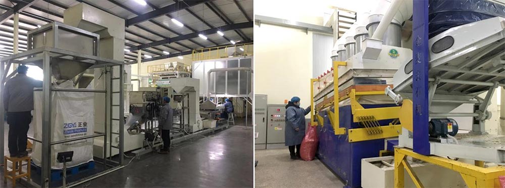 遼寧正業(yè)花生產(chǎn)業(yè)：共抗疫情，龍頭企業(yè)顯擔(dān)當(dāng)！(圖5)