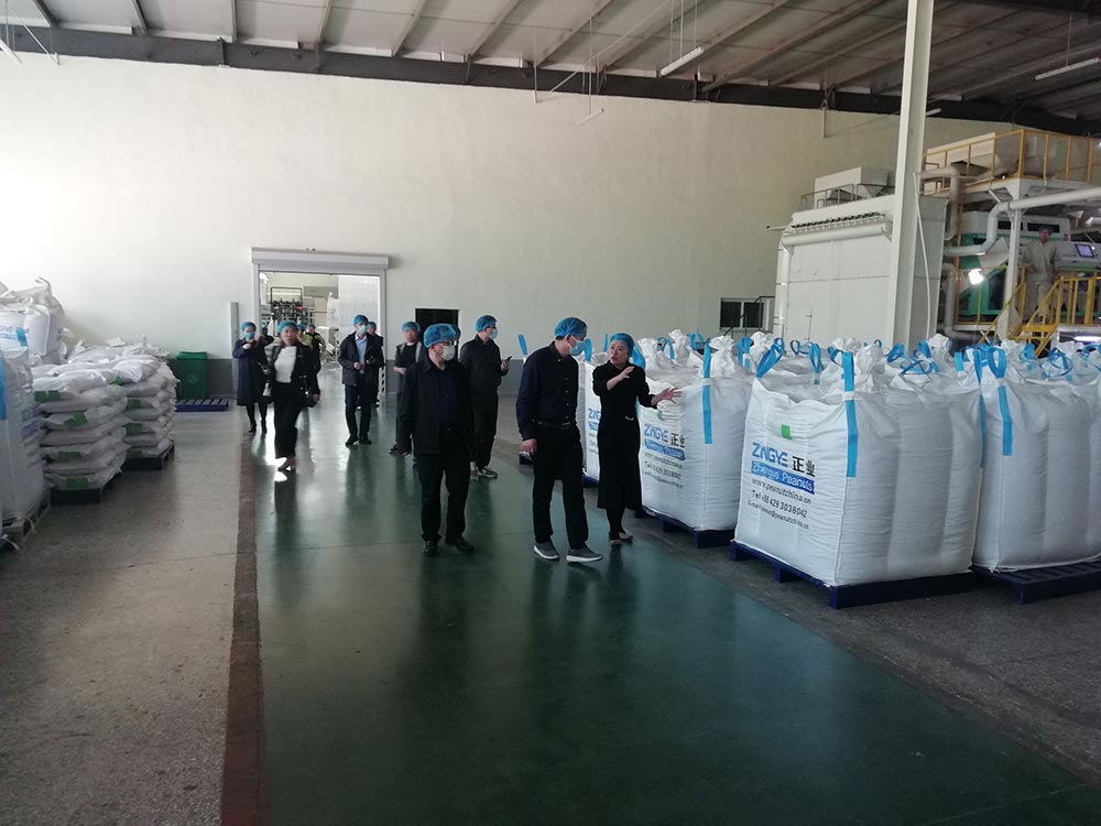 省農業(yè)農村廳領導蒞臨花生公司考察指導(圖3) 省農業(yè)農村廳領導蒞臨花生公司考察指導(圖3)